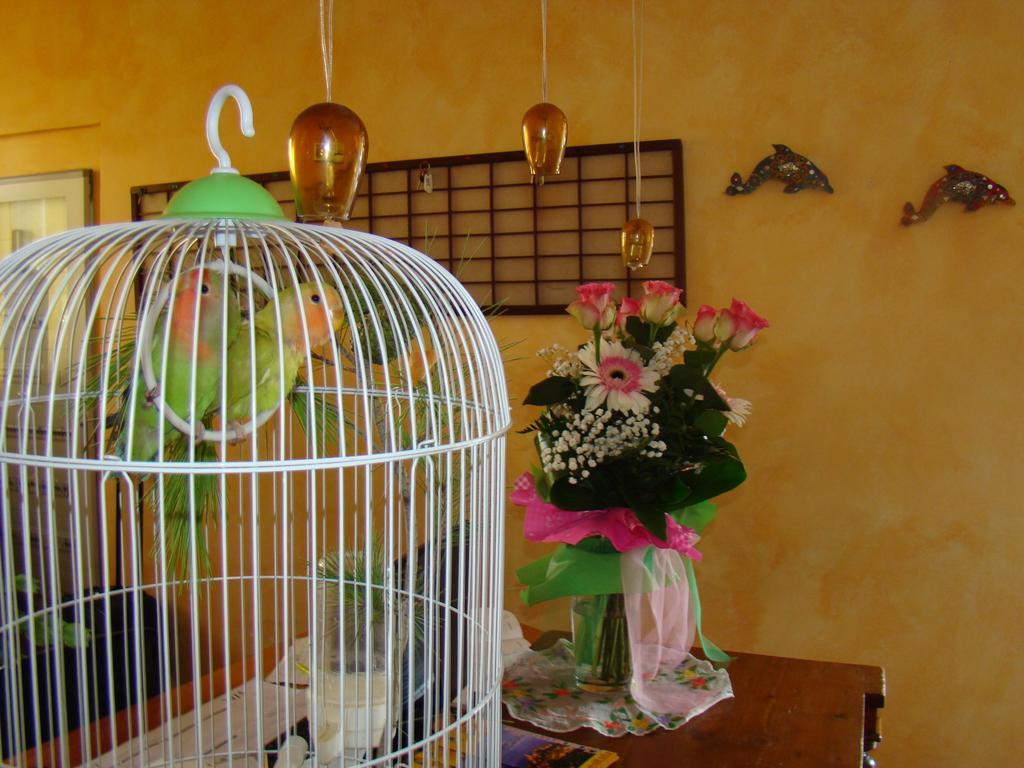 Il Casale Aparthotel Martinsicuro Buitenkant foto